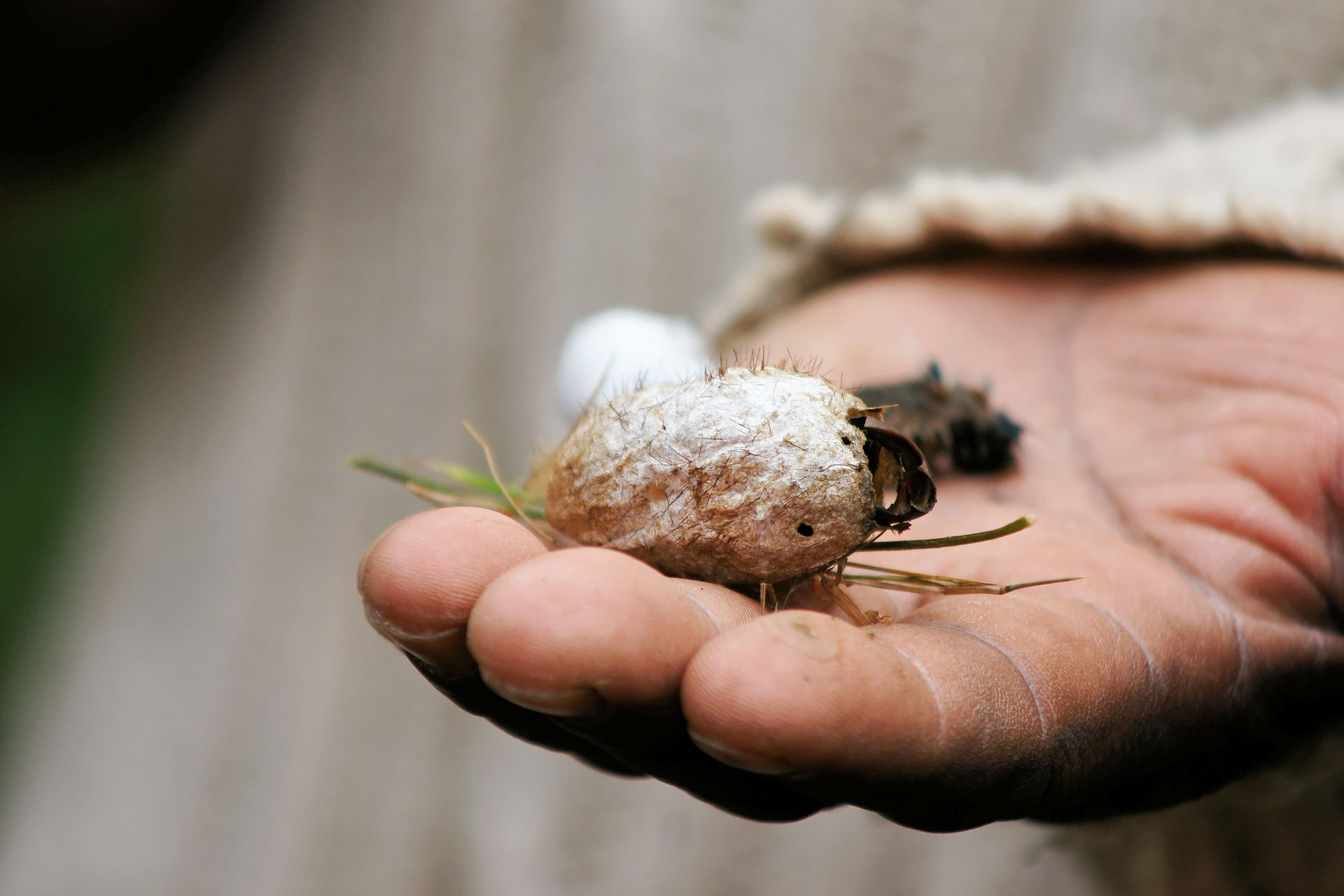 Wanderung in der Umgebung von Ambositra